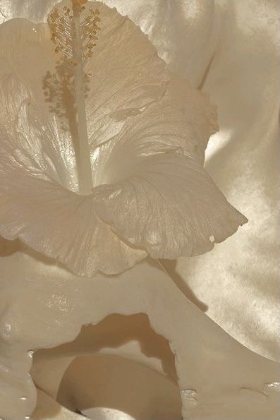 Felt und Found AEO Sichtbarkeit